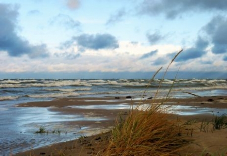 LLU piedalās projektā Baltijas jūras piesārņojuma samazināšanai